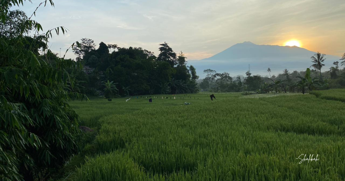 Pemandangan Gunung Pangrango dari Cijeruk